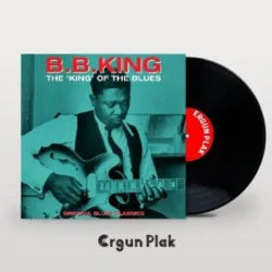 B. B. King The King Of The Blues Plak