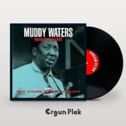 Muddy Waters Original Blues Classics Plak