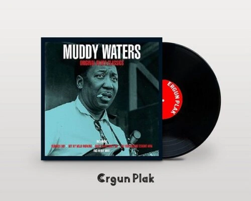 Muddy Waters Original Blues Classics Plak