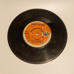 Satılık Plak Necati Çalışkan – Hayatın Kanunu Böyle Yazılmış 45lik Plak Arka