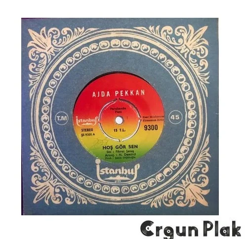 Ajda Pekkan Hoş Gör Sen Plak