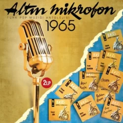Altın Mikrofon 1965 Plak Ön