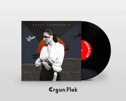 Şenay Lambaoğlu Hayat Defteri Plak
