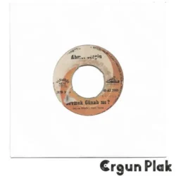 Ahmet Sezgin Sevmek Günah Mı Plak