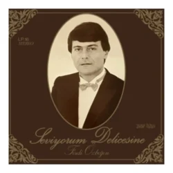 Ferdi Özbeğen Seviyorum Delicesine Plak